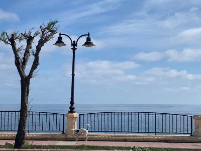 Cette image montre la vue sur la mer depuis l'hôtel