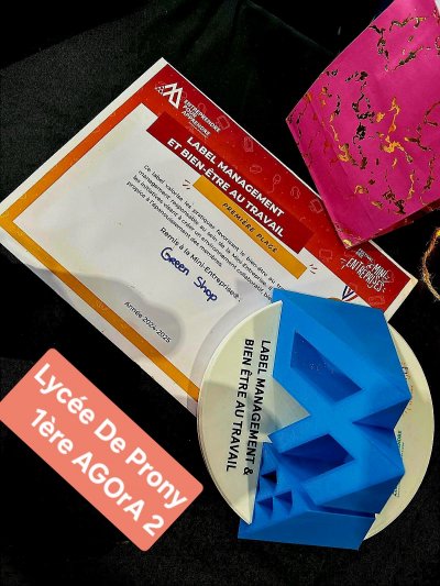Cette image montre le diplôme du Labl bien être et management au travail remis au élèves de 1ère Agora du lycée de Prony ainsi que le trophé