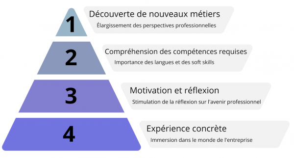Cette image montre une pyramide à 4 étages. Étage 1, le plus haut : Découverte des nouveaux métiers, élargissement des perspectives professionnelles. Étage 2 : Compréhension des compétences requises, importance des langues et soft skills. Étage 3 : Motivation et réflexion, stimulation de la réflexion sur l'avenir professionnel. Étage 4, le plus bas : Expérience concrète, immersion dans le monde de l'entreprise.