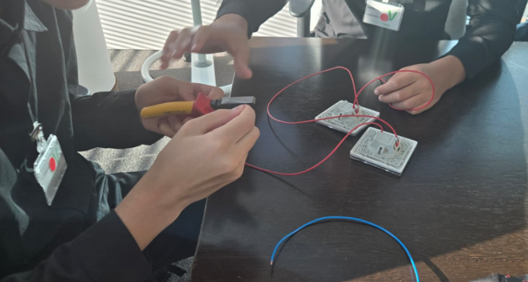 Cette photo montrer des mains d'élèves entrain de raccorder les fils électriques à des interrupteurs